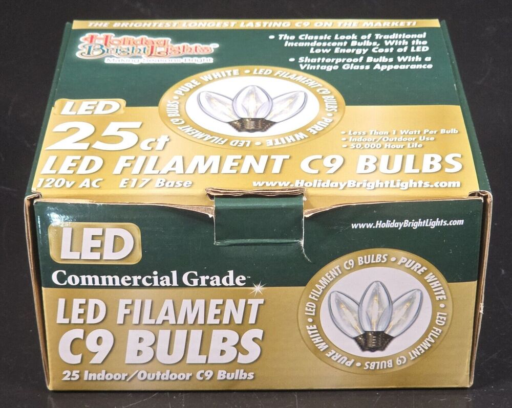Holiday Bright Lights LED Indoor/Outdoor C9 Christmas 24 Light Bulbs, Missing 1
